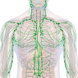 lymphmassage